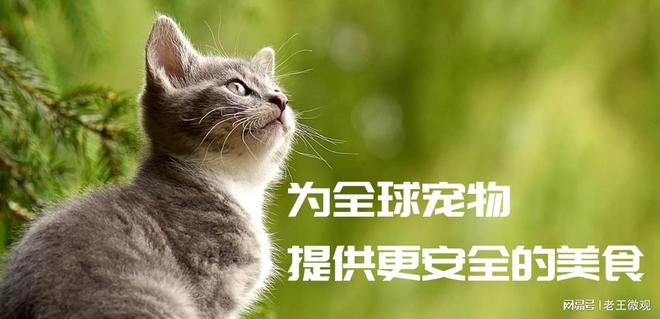 有限公司：宠物食品领域的稳健探索者pg电子模拟器电脑版汉欧生物科技(图1)