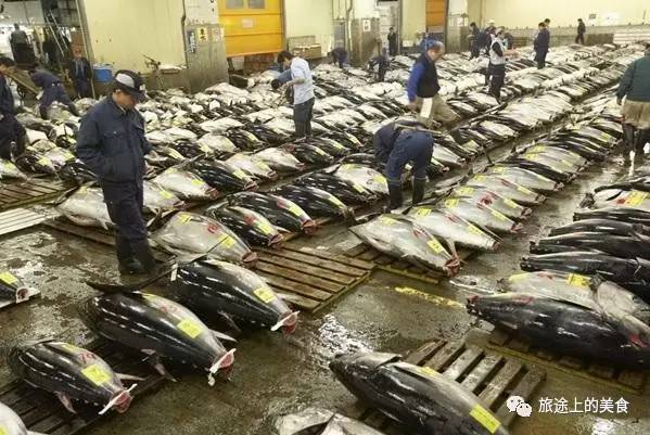 这里每天会拍出上千条的金枪鱼pg电子游戏网站日本料理心脏(图1)