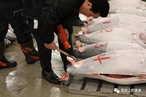 这里每天会拍出上千条的金枪鱼pg电子游戏网站日本料理心脏(图3)