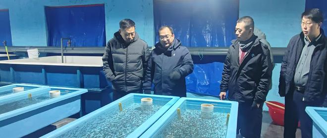 业与大连三文渔业合作共同推进三文鱼产业p