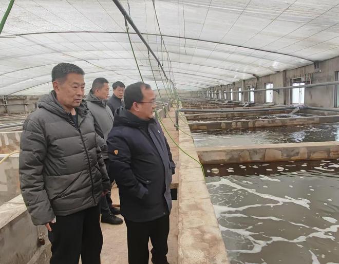 业与大连三文渔业合作共同推进三文鱼产业pg电子模拟器试玩山东烟台经海海洋渔(图3)