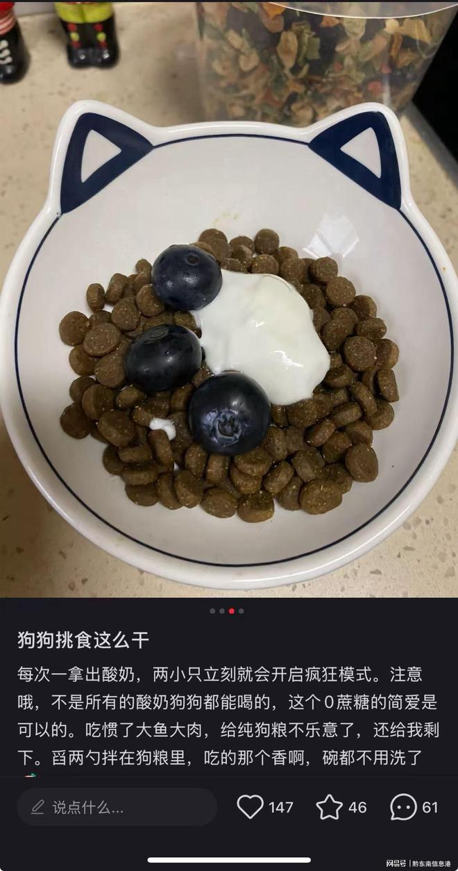 方”撬动萌宠经济与母婴信任双赛道pg电子平台简爱酸奶以“纯净配(图2)