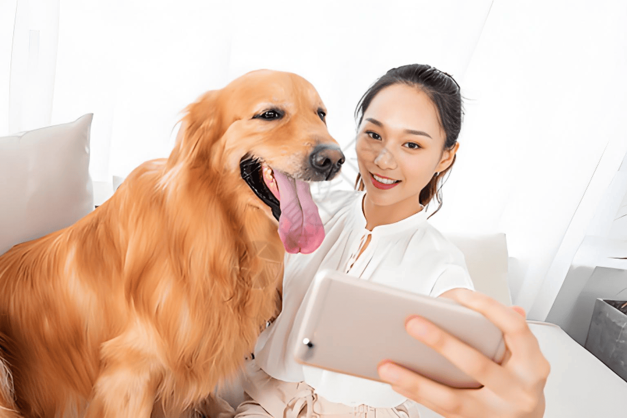 业链分析：现状、痛点、需求、趋势pg电子模拟器试玩宠物食品行业产