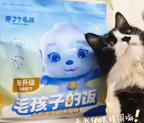 子口粮！三只松鼠靠什么重返宠物食品赛道pg电子模拟器免费试玩零食巨头盯上毛孩(图2)