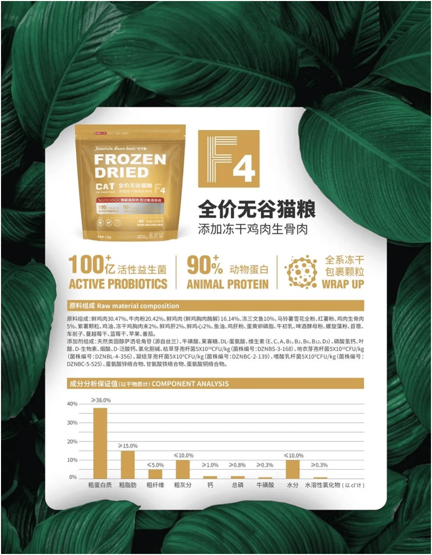 物食品品牌上新不断上心永远pg电子免费模拟器豆子熊宠(图1)