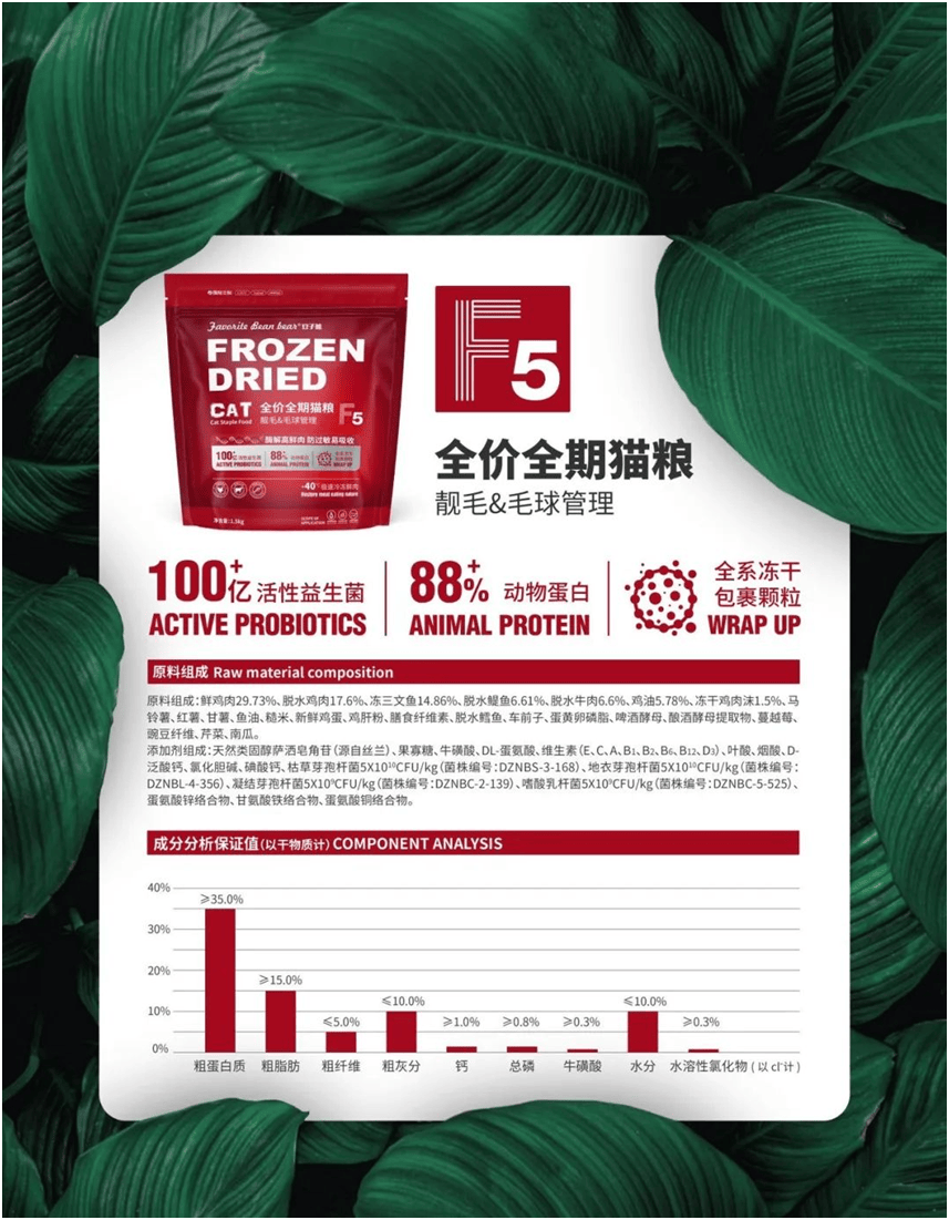 物食品品牌上新不断上心永远pg电子免费模拟器豆子熊宠(图3)