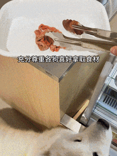 烫25一斤全是真肉上海狗有福了！pg试玩破防了！上海惊现狗狗麻辣(图4)