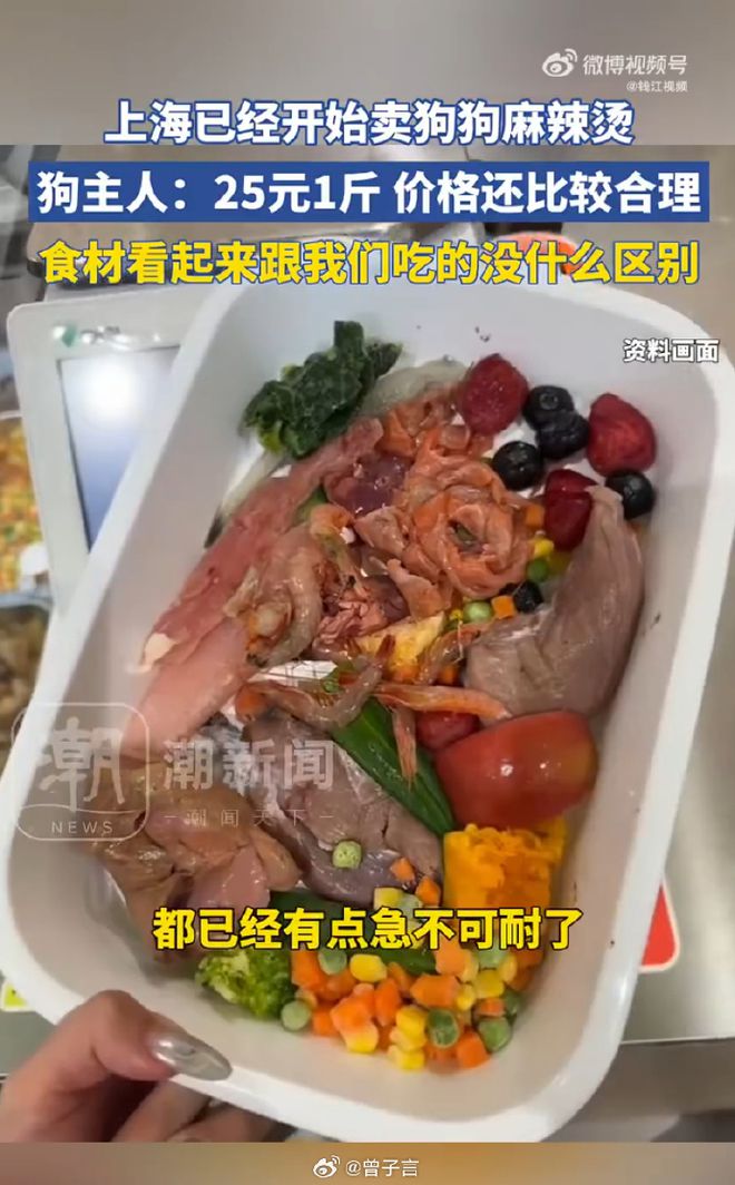 烫25一斤全是真肉上海狗有福了！pg试玩破防了！上海惊现狗狗麻辣(图7)